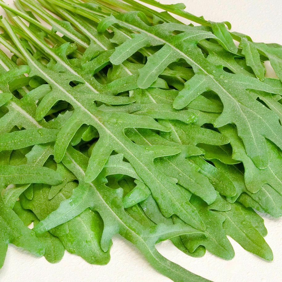 Italiensk Rucola