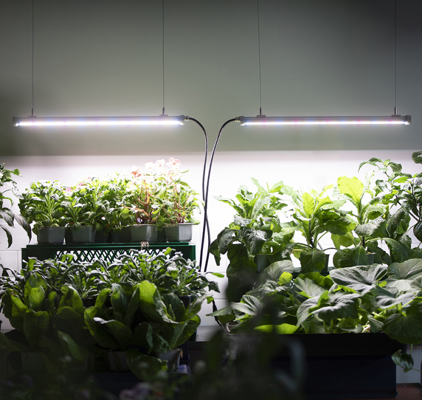 LED-belysning 60 cm 40 W Udvidelse i gruppen Tilbehør / Plantebelysning hos Impecta Fröhandel (55831)