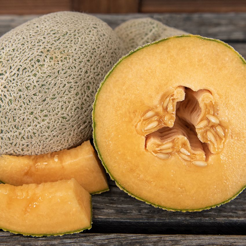 Netmelon 'Hale's Best Jumbo'