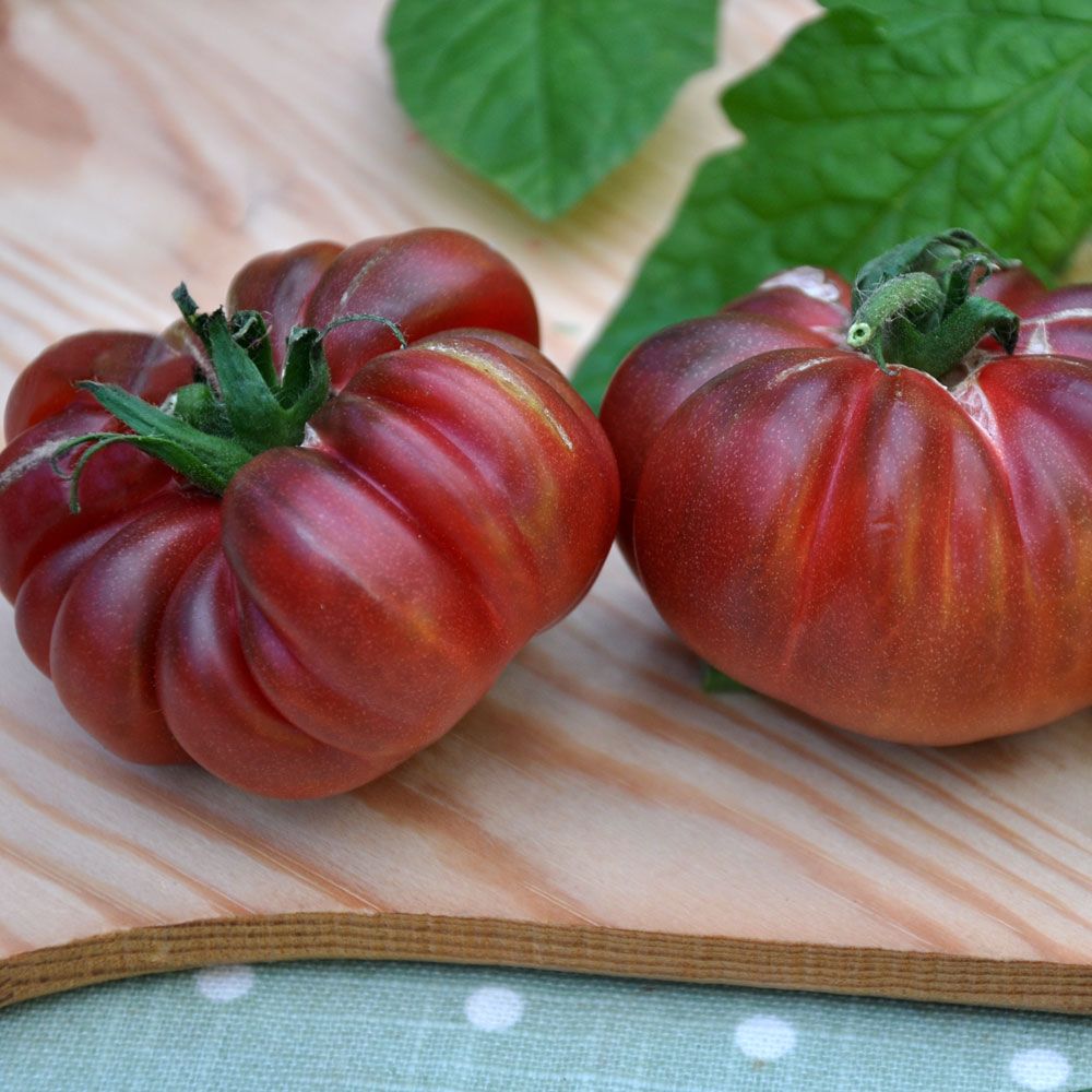 BØFTOMAT 'Purple Calabash'