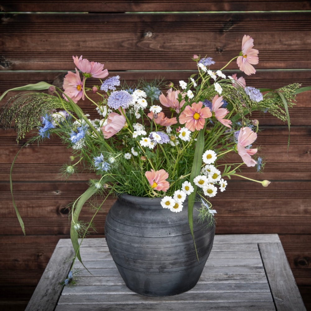 Frøpakke Snitblomster 'Rosa og blå'