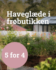 Haveglæde i frøbutikken - 5 for 4