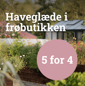 Haveglæde i frøbutikken - 5 for 4