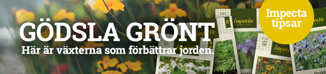 Her er de planter, der forbedrer jorden